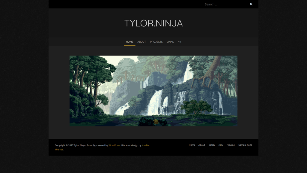 Tylor.Ninja-Google-Chrome_028